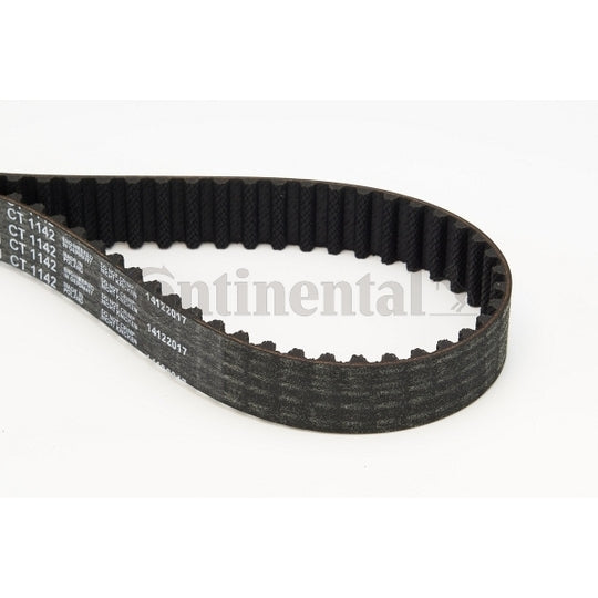 Triscan Timing Belt to suit Mitsubishi, Ford, Peugeot