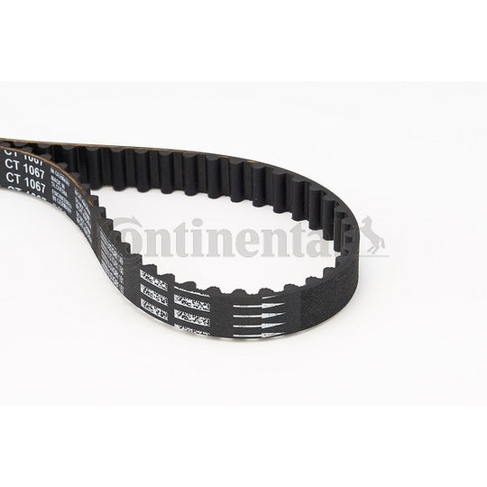 Triscan Timing Belt to suit Peugeot, Citroën, Fiat