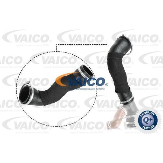 Vaico Charger Air Hose to suit Ford