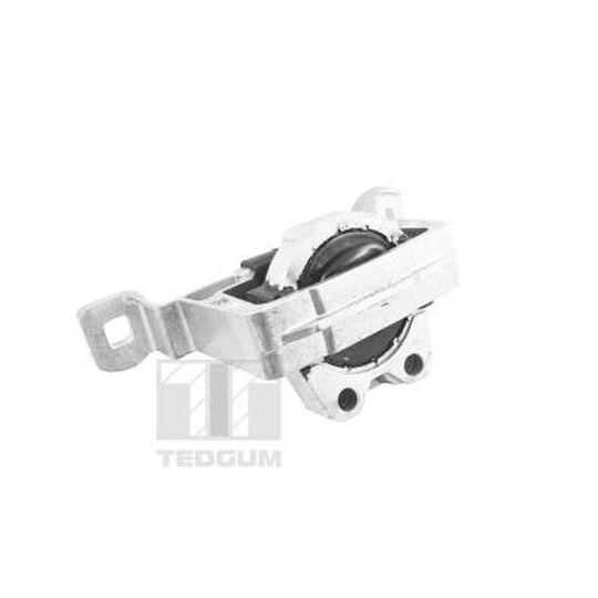 Tedgum TED24027 Engine Mounting to suit Ford, Volvo