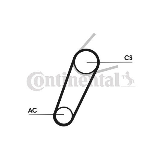 Continental Ctam V-Ribbed Belt Set to suit Ford