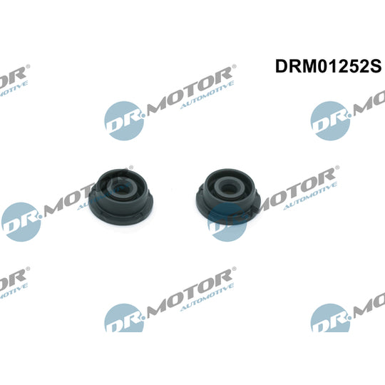 Dr.Motor Automotive Gasket Set, cylinder head cover to suit Ford