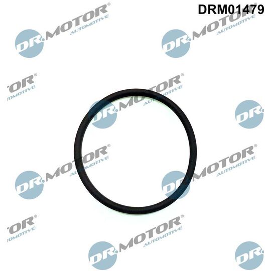 Dr.Motor Automotive Seal, injection pump to suit Ford