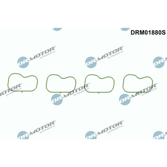 Dr.Motor Automotive Seal, throttle body to suit Ford