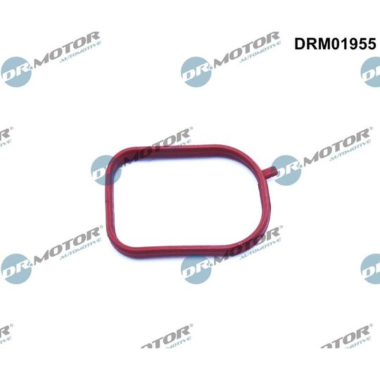 Dr.Motor Automotive Gasket, thermostat housing to suit Ford