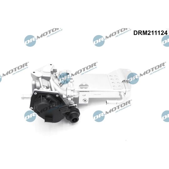 Dr.Motor Automotive EGR Valve to suit Audi, Seat