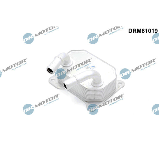 Dr.Motor Automotive Oil Cooler, engine oil to suit Ford