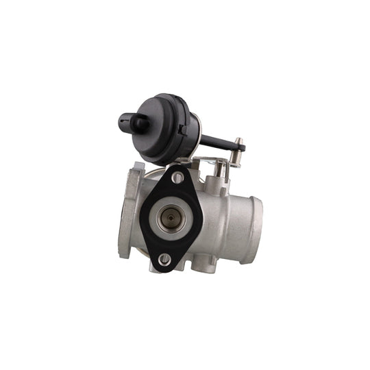 Aisin EGR Valve to suit Audi, VW