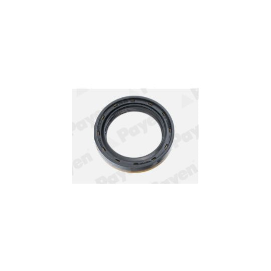Payen Shaft Seal, differential to suit Ford, Mazda, Audi
