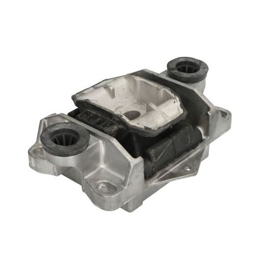 Reinhoch Engine Mounting to suit Ford