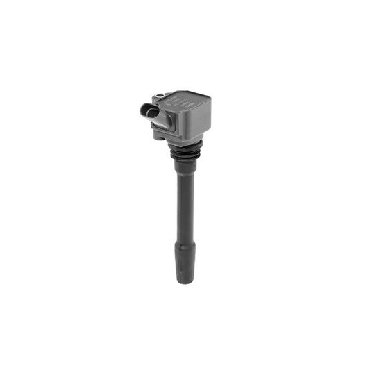 Borgwarner (Beru) Ignition Coil to suit Fiat, Hitachi, Abarth