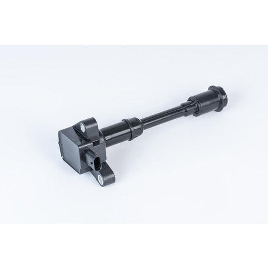Borgwarner (Beru) ZSE203 Ignition Coil to suit Ford