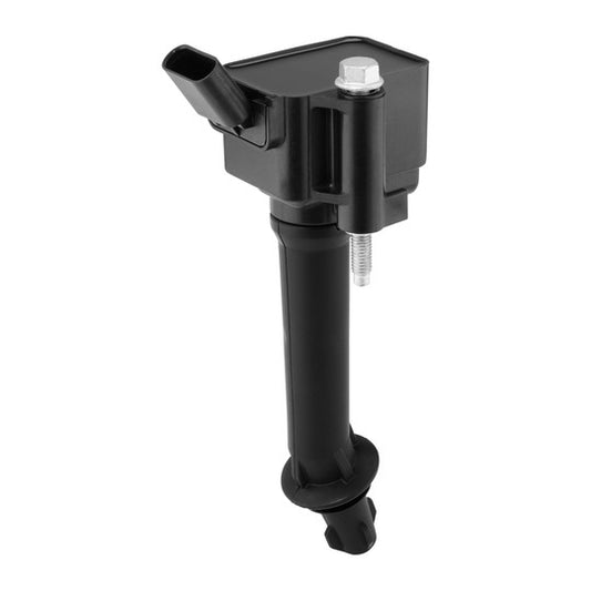 Borgwarner (Beru) Ignition Coil