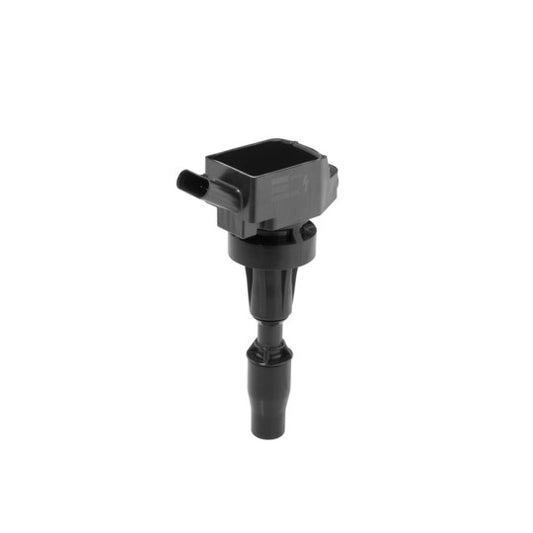 Borgwarner (Beru) Ignition Coil to suit Hyundai, Hitachi